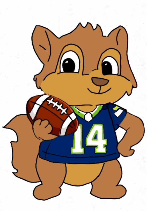 Let’s Go Seahawks!